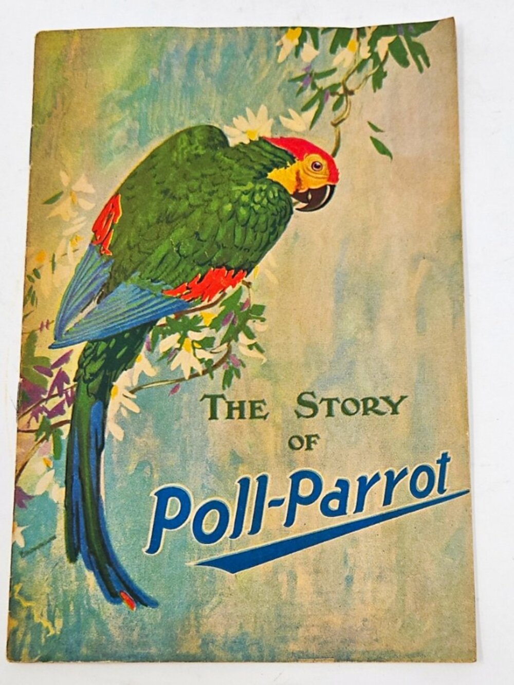 Antique 1920 Story of Poll-Parrot Advertising Booklet Roberts Johnson Rand Shoes